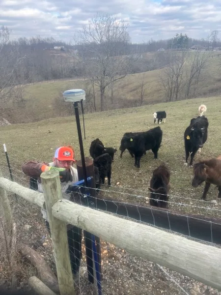 A Doss Land Surveying crew member working a GPS rover at a farm fence line while cattle graze in the pasture beyond.